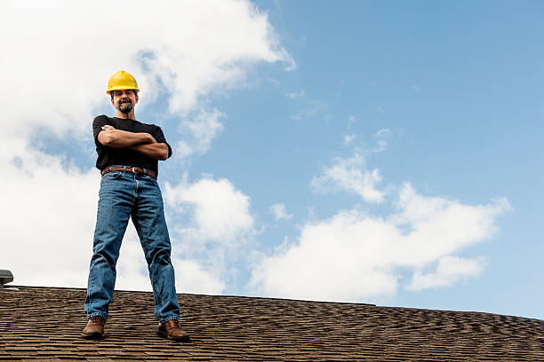 Best Roof Gutter Cleaning  in Perry, IA
