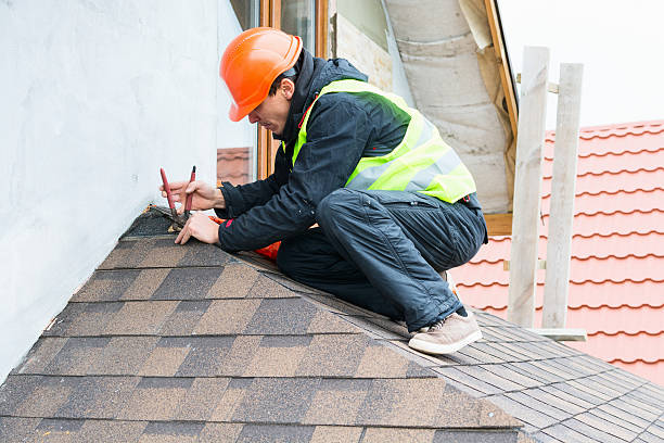 Best Metal Roofing Contractor  in Perry, IA