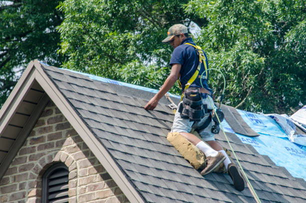 Professional Roofing Contractor in Perry, IA